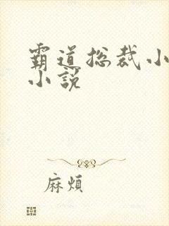 霸道总裁小娇妻小说