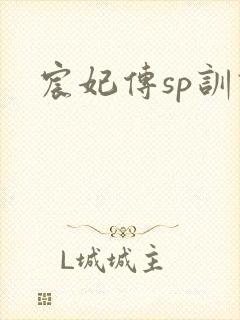 《宸妃传sp训诫》小说封面