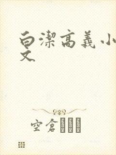 白洁高义小说全文