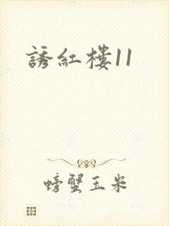诱红楼11封面