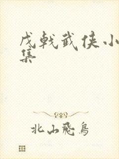 戊戟武侠小说全集