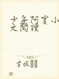 少年阿宾小说全文阅读