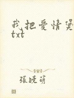 我把爱情煲成汤txt