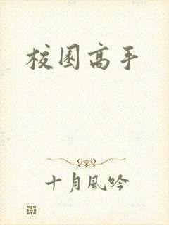 校园高手