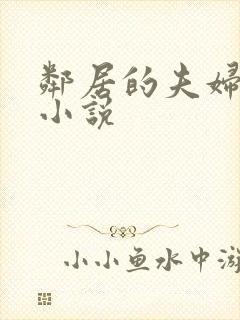 邻居的夫妇交换小说