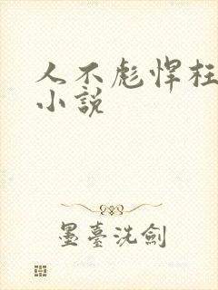 人不彪悍枉少年小说