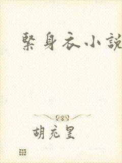 紧身衣小说