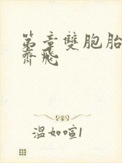 第章双胞胎姐妹齐飞