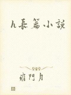 h长篇小说