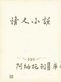 情人小说