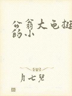 公翁大龟挺进我的小