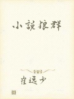 小说狼群