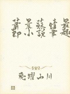 萧晨苏晴最新章节小说笔趣阁