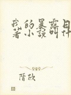 我的暴露日记原著小说叫什么