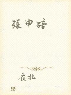 《张申碚》小说封面