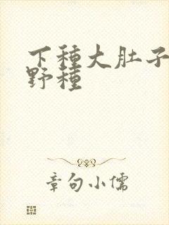 下种大肚子怀孕野种