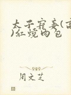 太子宠妾(高肉)红烧肉包