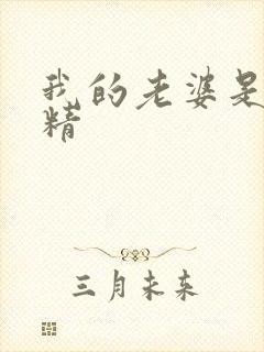 我的老婆是狐狸精