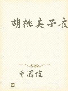 胡桃夹子夜未眠