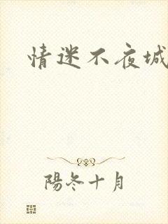 情迷不夜城