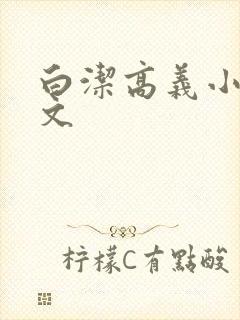 白洁高义小说全文