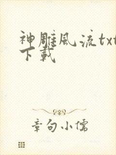 神雕风流txt下载