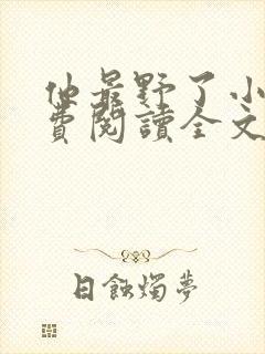 他最野了小说免费阅读全文