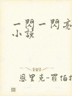 一闪一闪亮星星小说