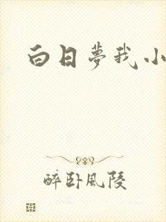 白日梦我小说
