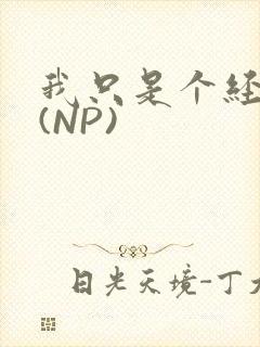 我只是个经纪人(NP)