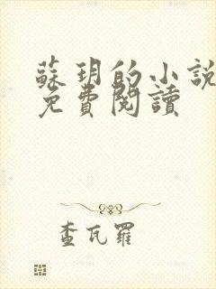 苏玥的小说全文免费阅读