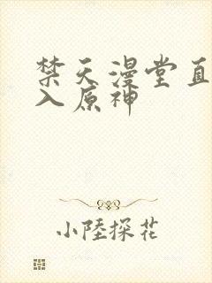 禁天漫堂直接进入原神