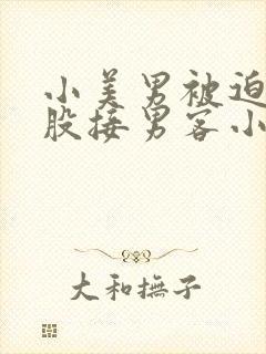 小美男被迫卖屁股接男客小说