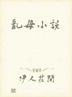 乱母小说