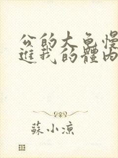 公的大龟慢慢挺进我的体内视频