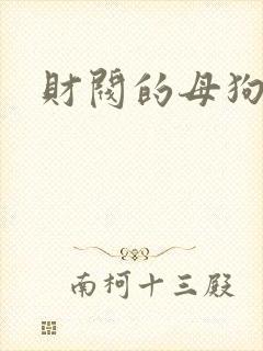 财阀的母狗们