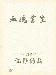 血魂书生