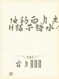 他的白月光HVH桔子糖水全文