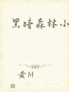 黑暗森林小说