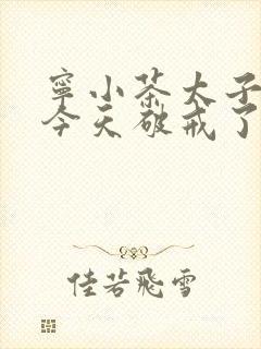 宁小茶太子殿下今天破戒了吗免费阅读