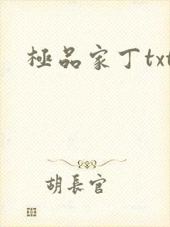 极品家丁txt