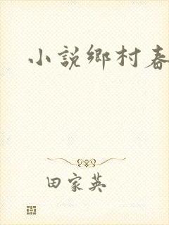 小说乡村春光