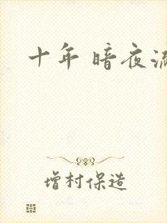 十年 暗夜流光