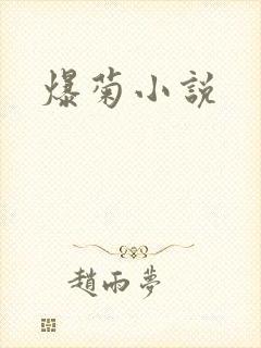 爆菊小说