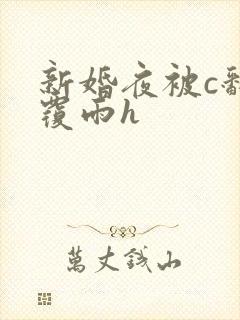 新婚夜被c翻云覆雨h