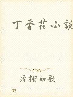 丁香花小说