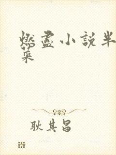 燃尽小说半截白菜