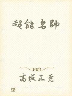 超能名帅封面