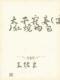 太子宠妾(高肉)红烧肉包