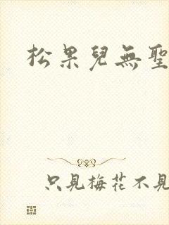 松果儿无圣光